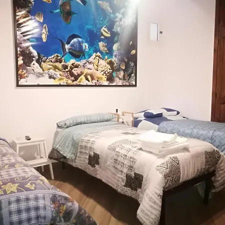 Edvige's House